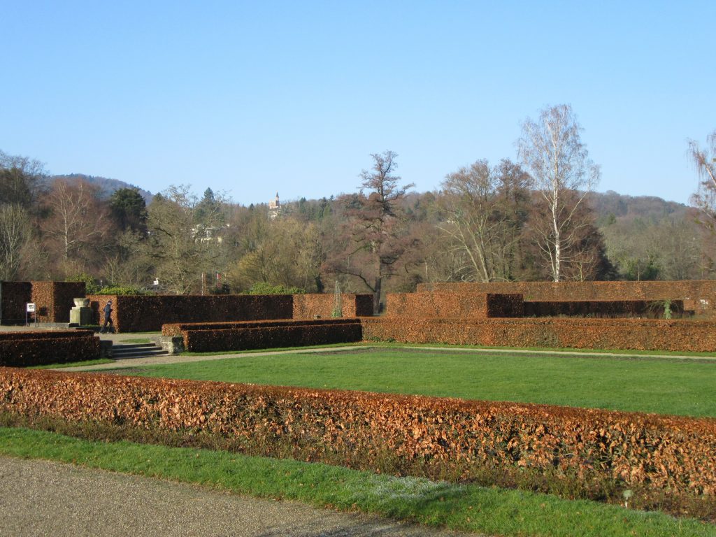 Rose park at Baden-Baden in winter sunny morning