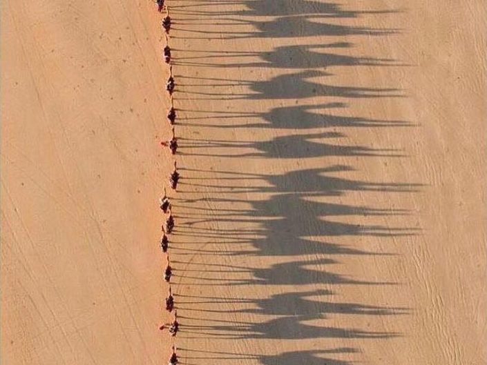 Jarrad Seng areal photography of caravan of camels in the desert